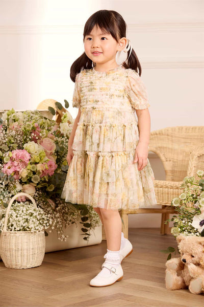 Rose Ruffle Frill Baby Dress