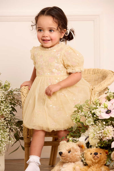 Confetti Baby Dress