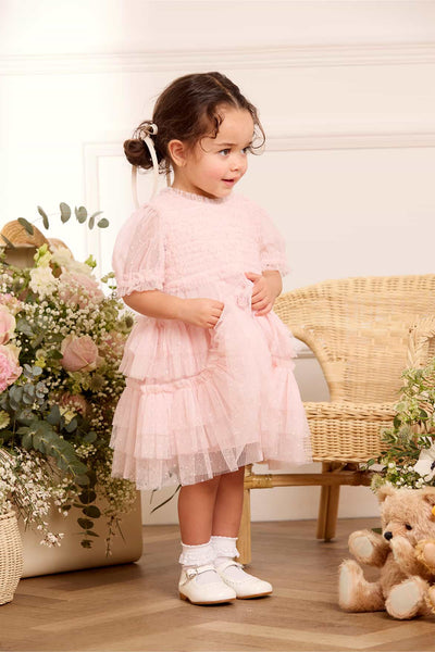 Ruffle Frill Baby Dress