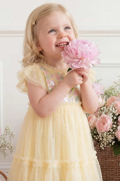 Confetti Bodice Baby Dress